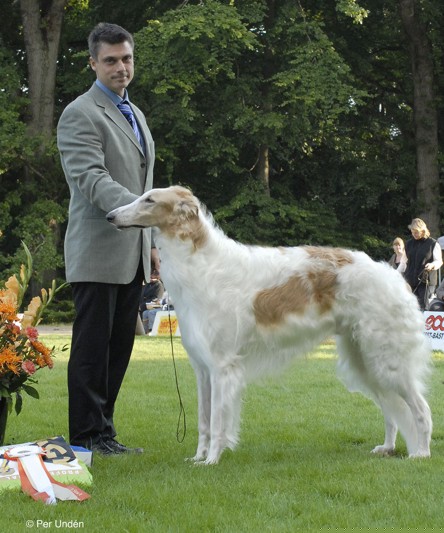 Best In Show- 5